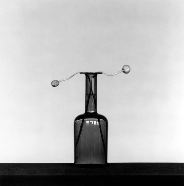 click to enlarge- double click to reduce Robert Mapplethorpe, "Poppy", 1982, Silver gelatin print, © The Robert Mapplethorpe Foundation, used with permission