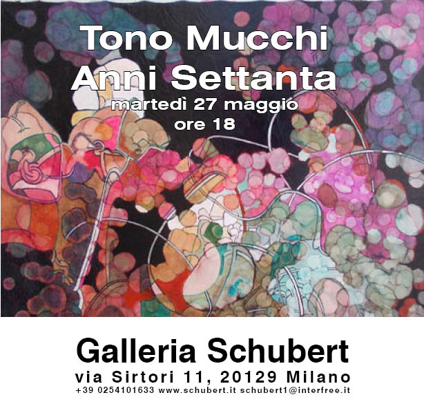 TONO MUCCHI